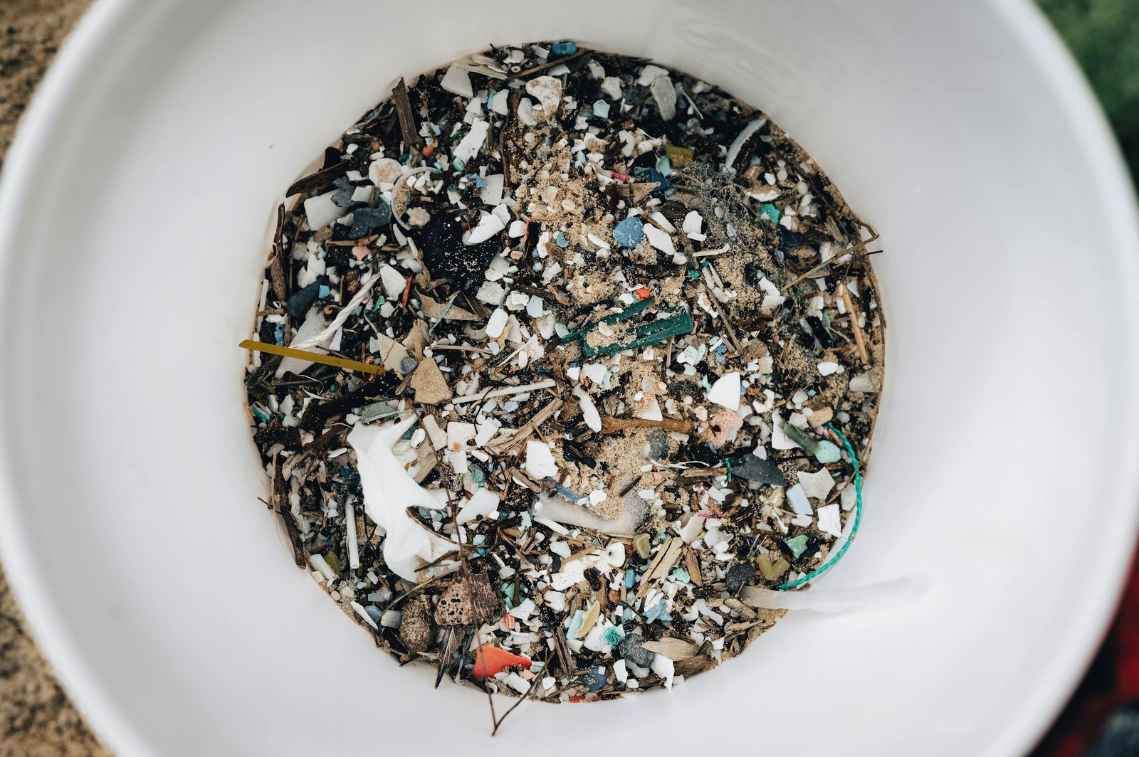 What Are Microplastics — and Where Do They Show Up?