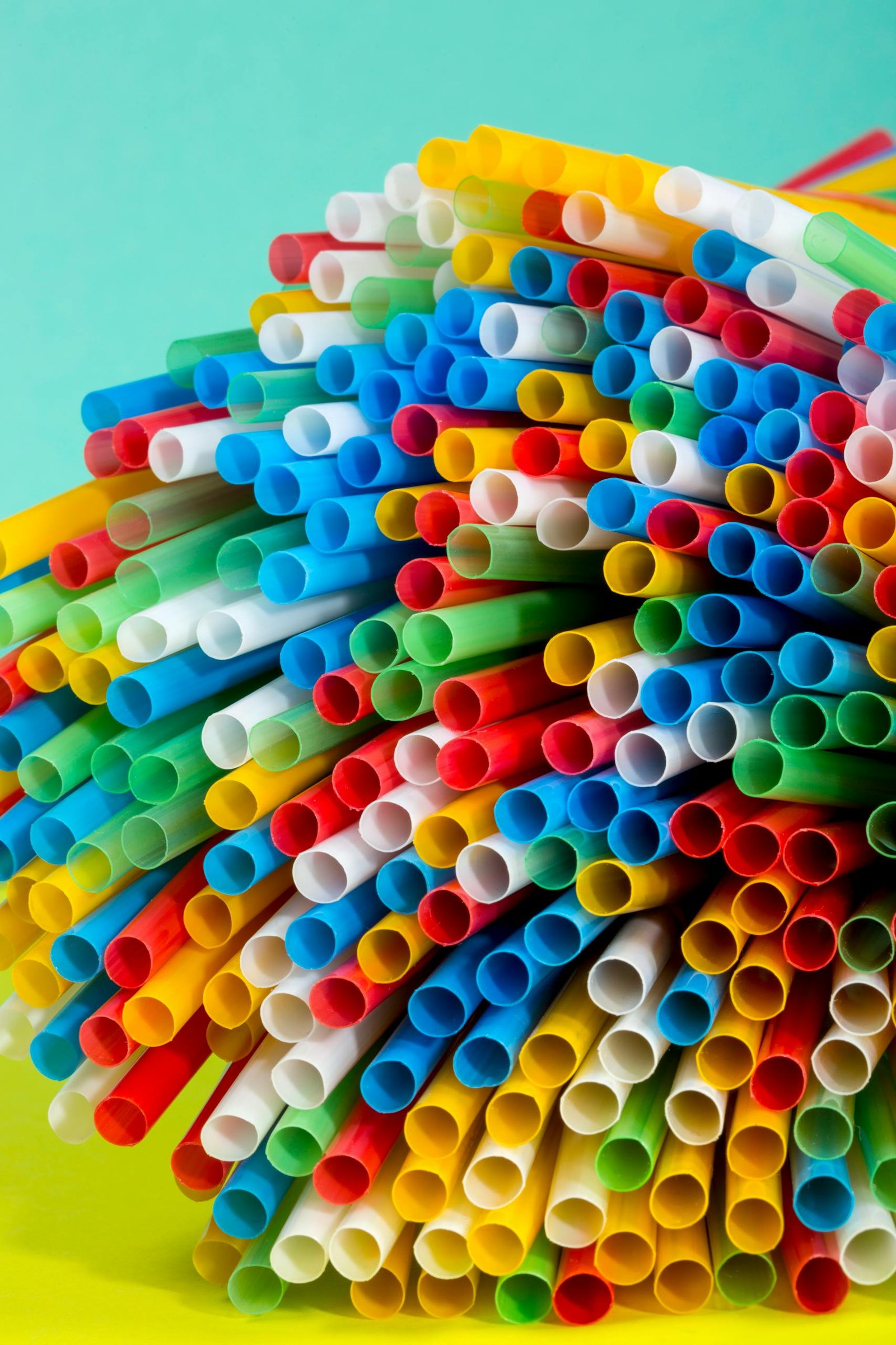 What Are Endocrine Disruptors?