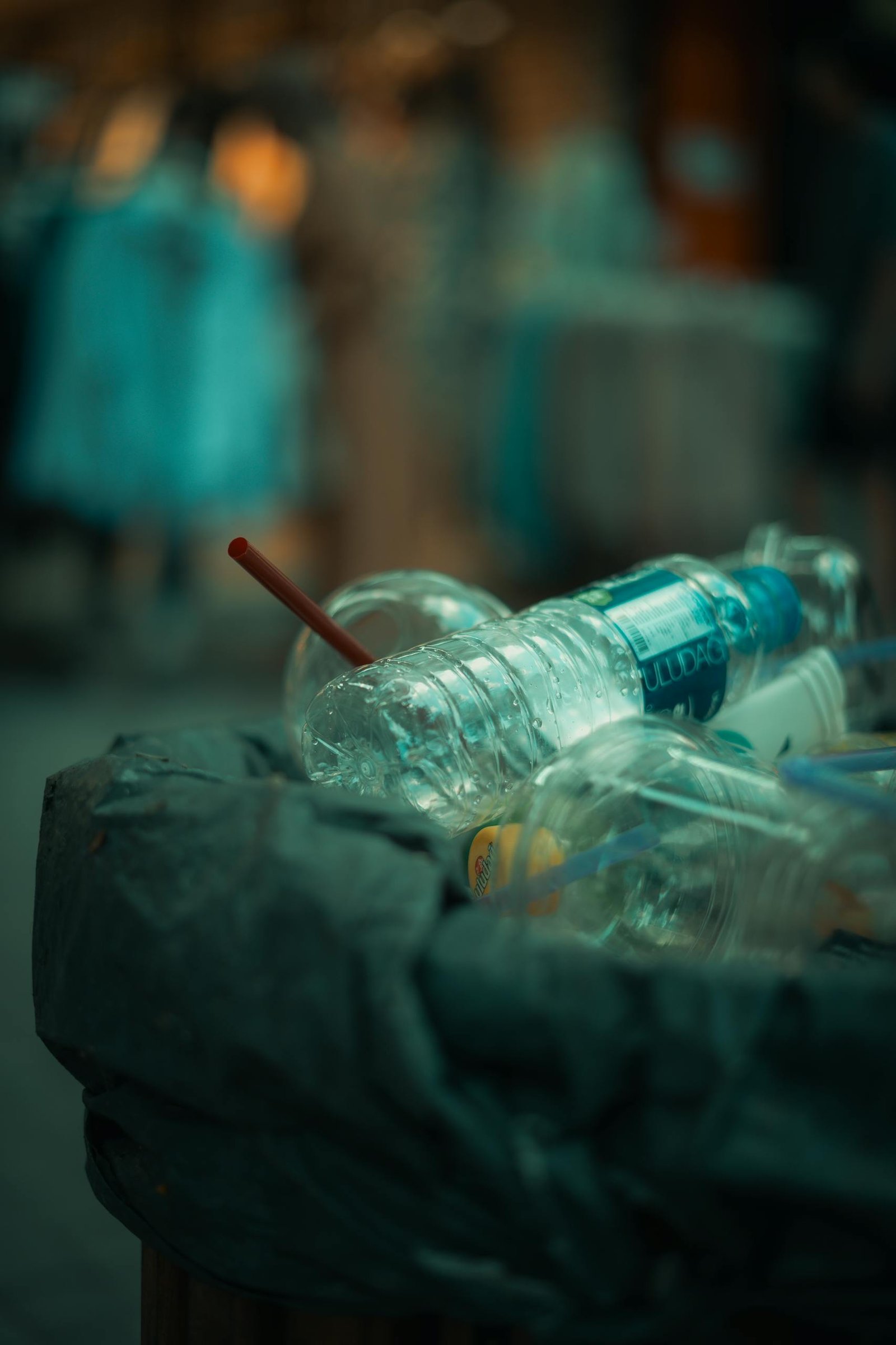What Are Endocrine Disruptors?
