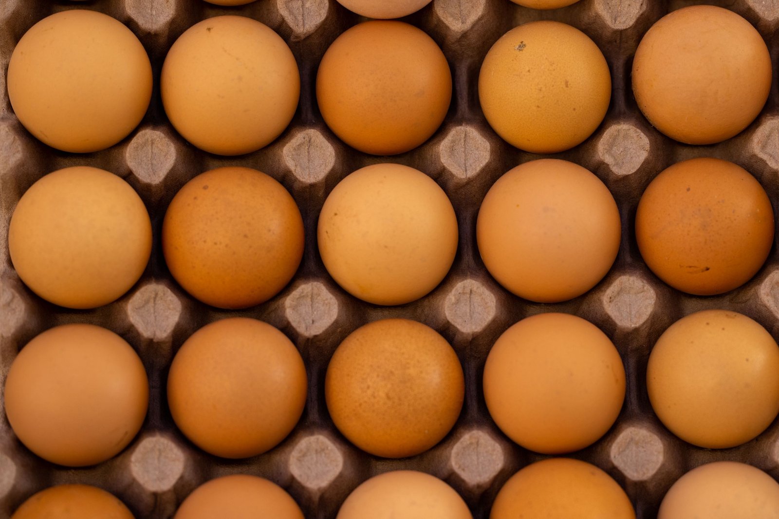 What Grass-Fed, Pasture-Raised, and Free-Range Actually Mean