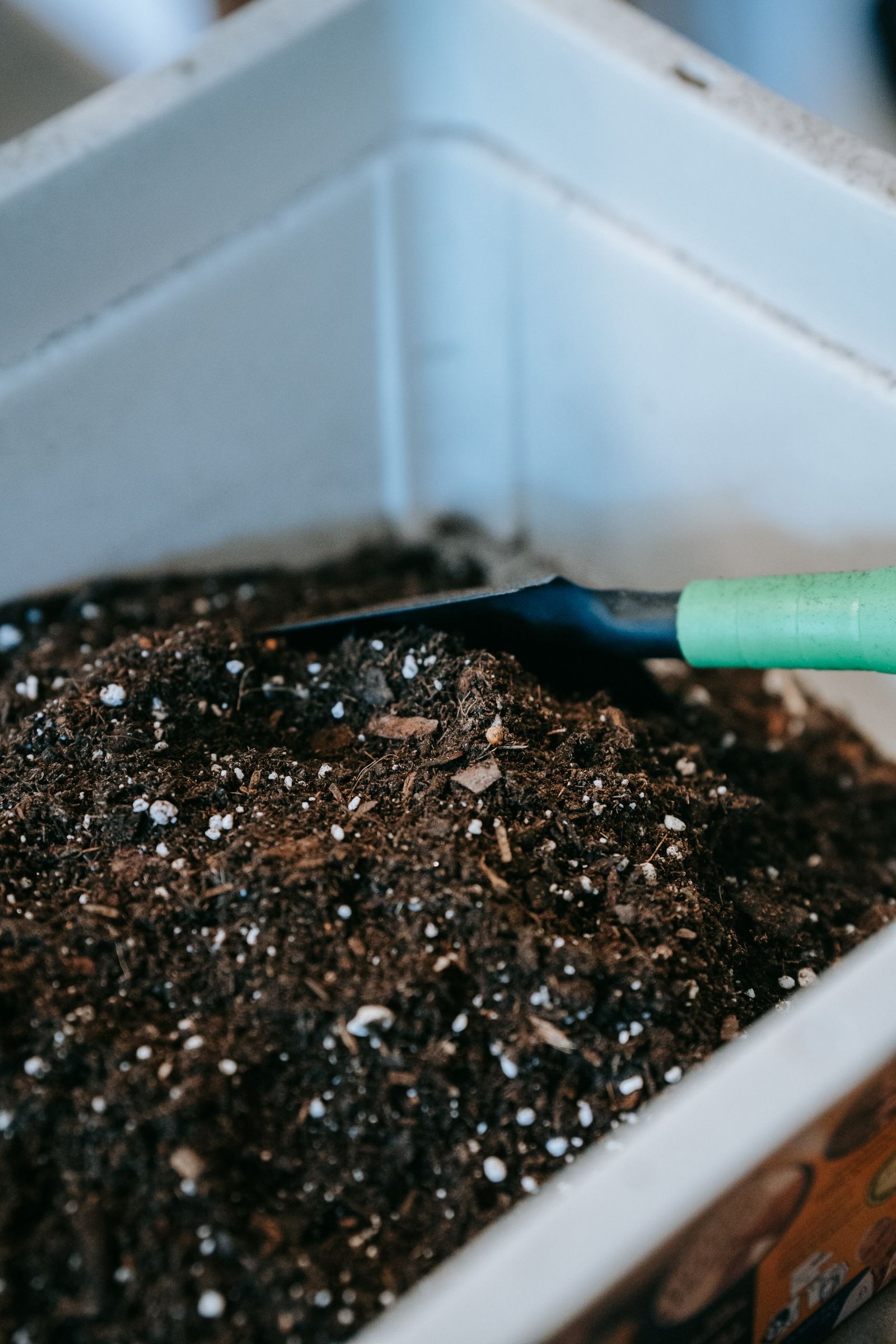 How Soil Health Affects the Food You Eat