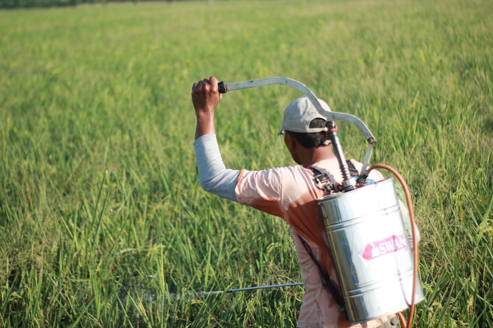 What Glyphosate Is and Where It Shows Up in Food
