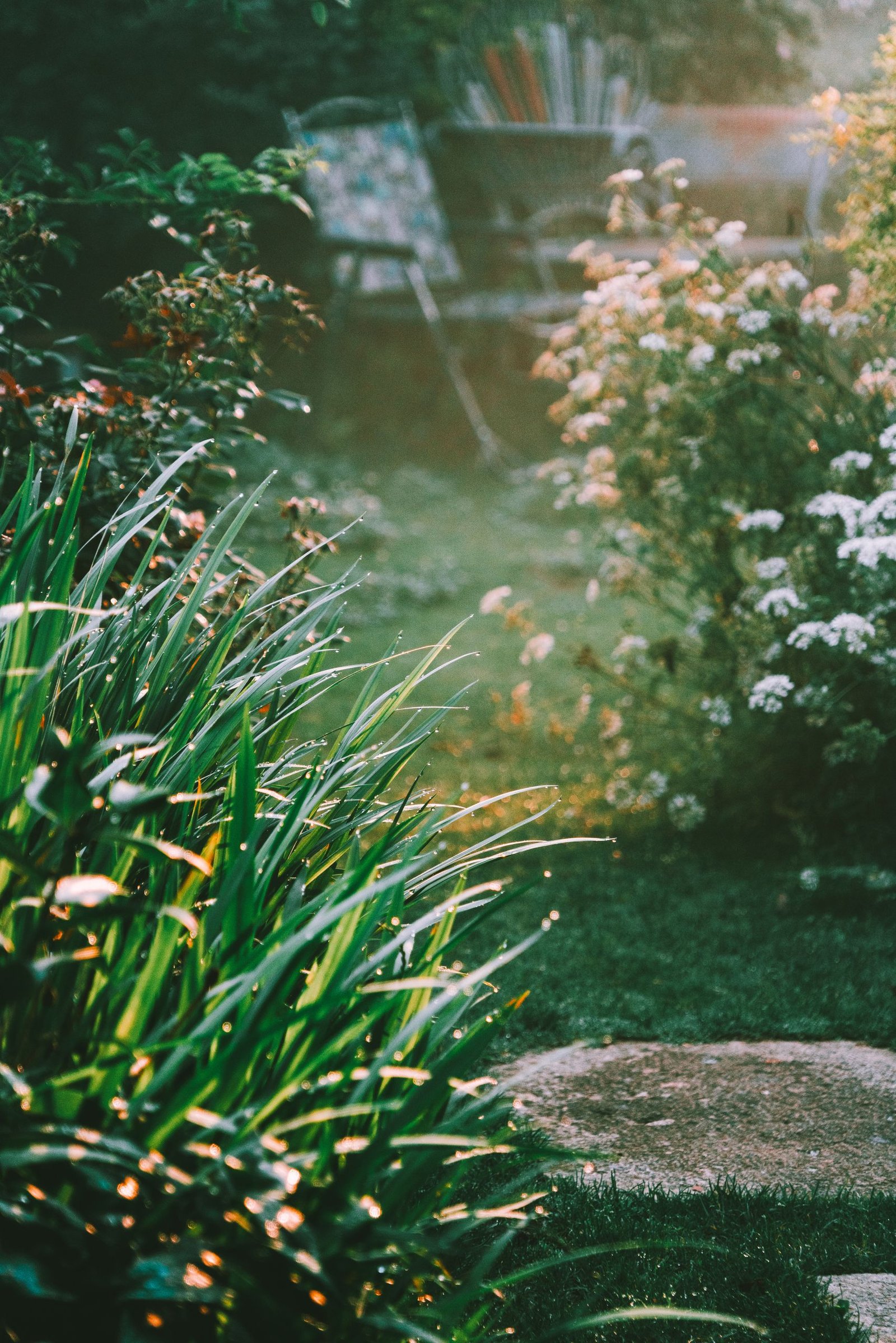Hidden Toxins in the Yard